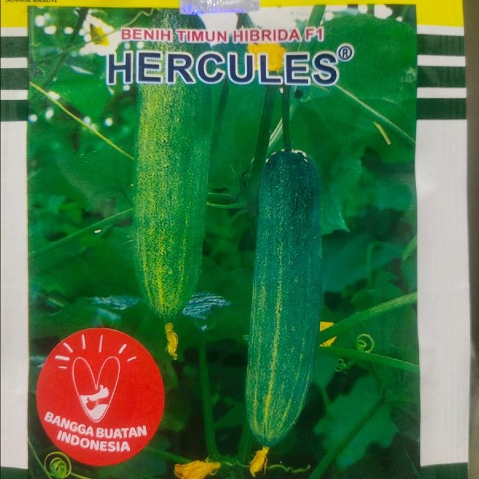 Jual Benih Timun Hercules F1 25 Gram Biji Ketimun Hibrida Hercules Dari ...