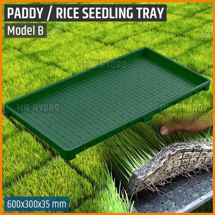 Jual Premium Paddy / Rice Seedling Tray, Tray Semai Bibit Padi ...