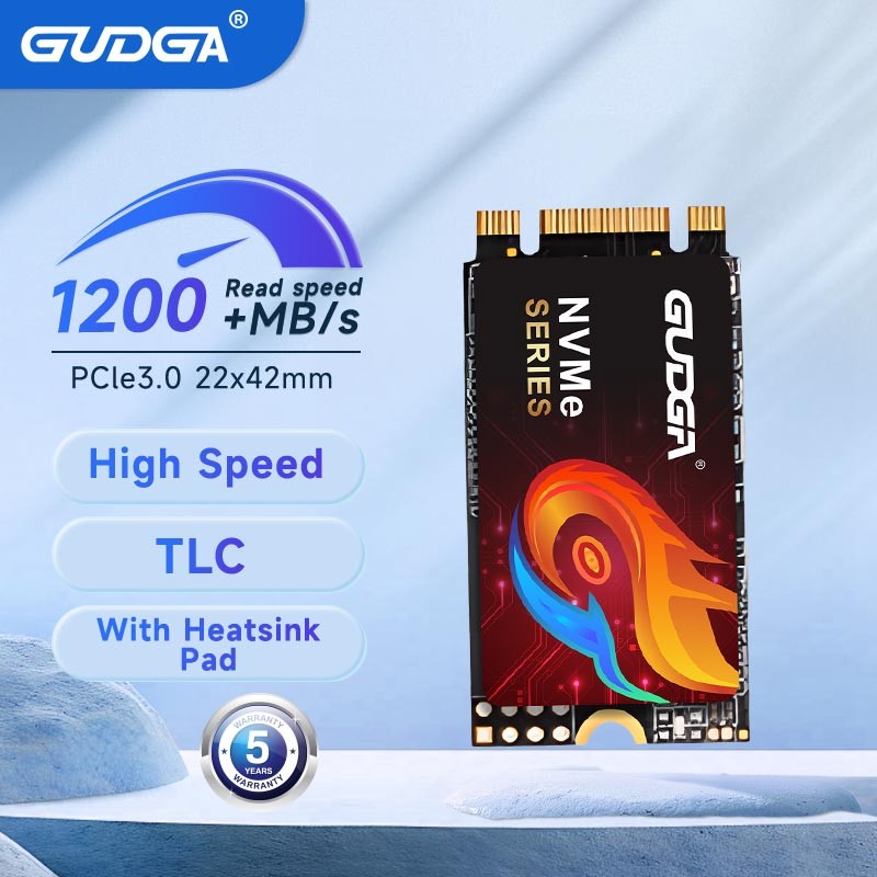 Jual GUDGA M.2 NVMe SSD 1TB Solid State Drive SSD M2 Nvme 2242 128GB ...