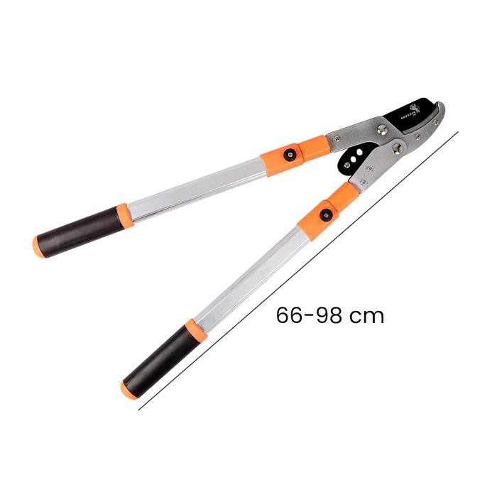 Jual Gunting Ranting Telescopic gunting pohon ranting taman gagang ...