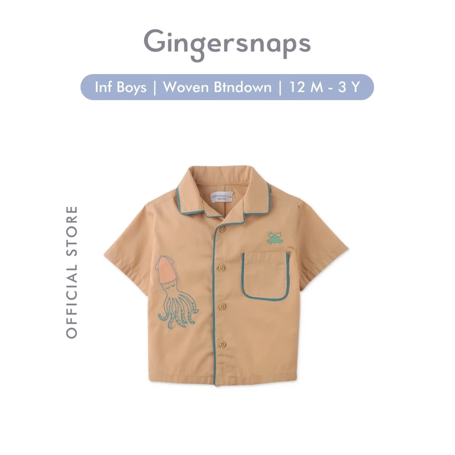 Baby Coastal Riviera Woven Btndown Tan