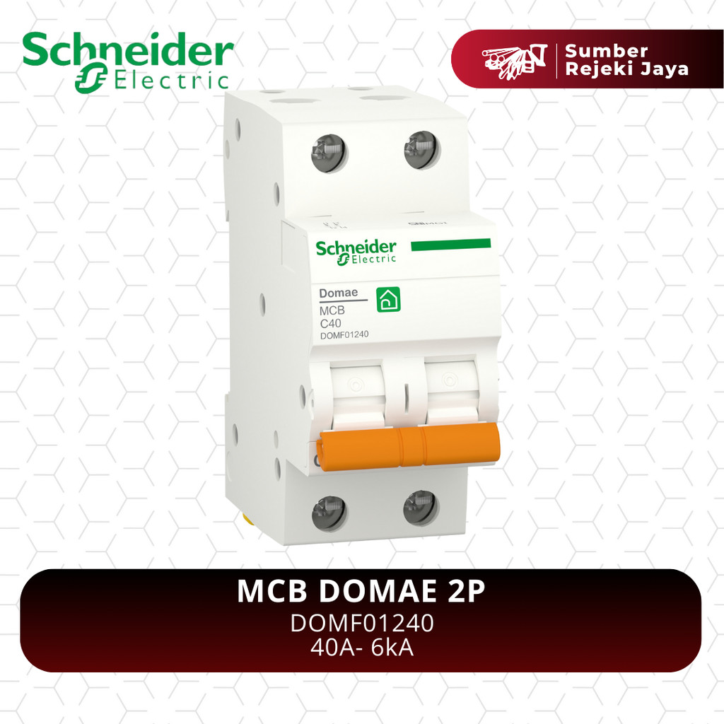 Schneider MCB DOMAE 2P 40A 6kA | DOMF01240 Merlin Gerin Orange
