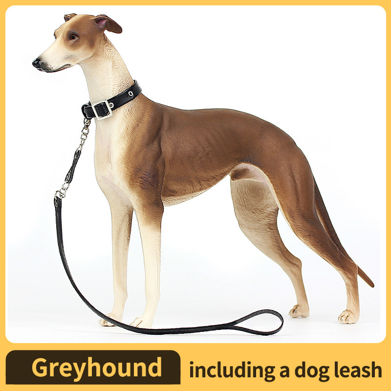 Jual Realistic Greyhound Animales Toy Action Figure - Collectible Model ...