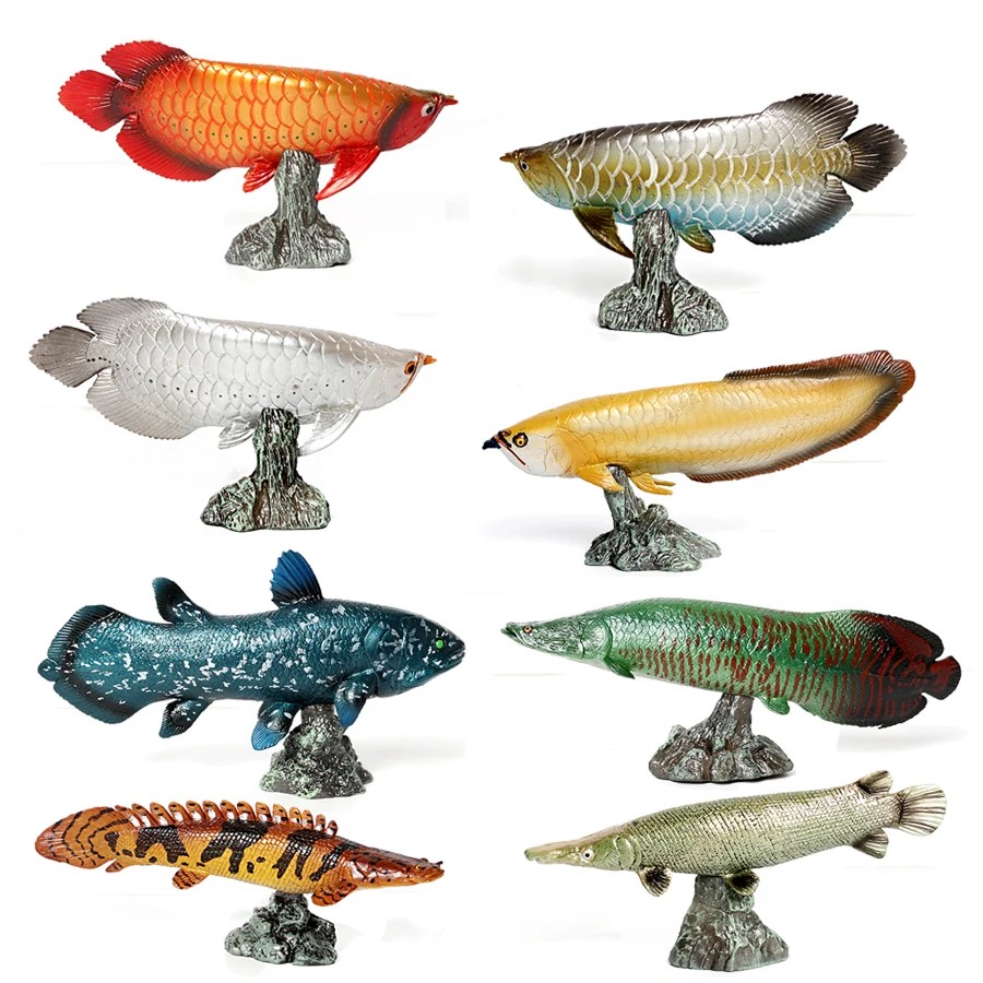Jual Realistic Ocean Fish Model Toy - Arowana, Coelacanth, Alligator ...