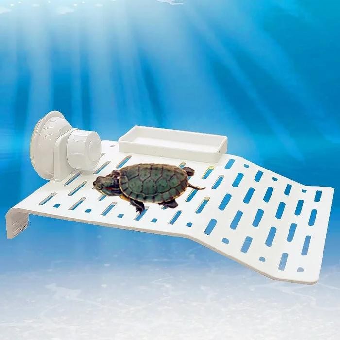 Jual Aquatic Reptile Basking Platform with Suction Cups Turtle Ramp ...