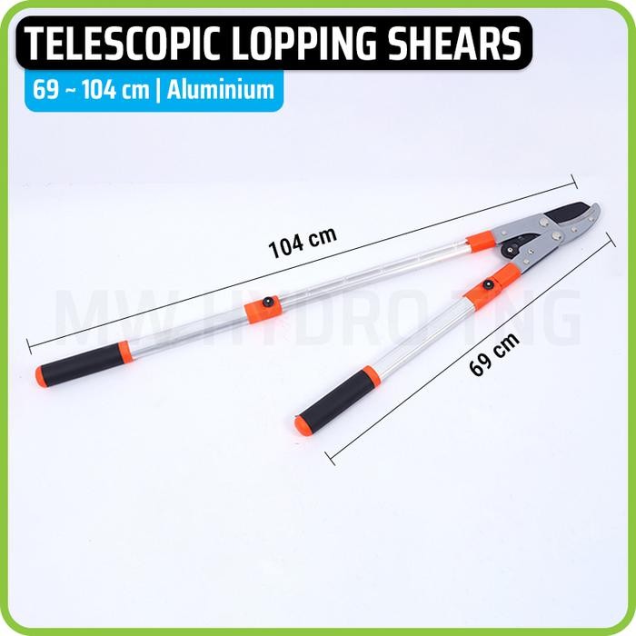 Jual Premium Gardening Aluminium Telescopic Lopping Shears Retractable ...