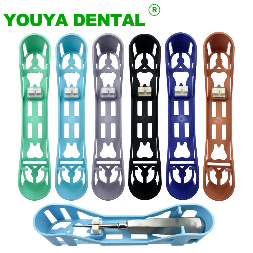 Jual Dental Sterilization Rack For Tooth Extraction Elevators Plastic ...