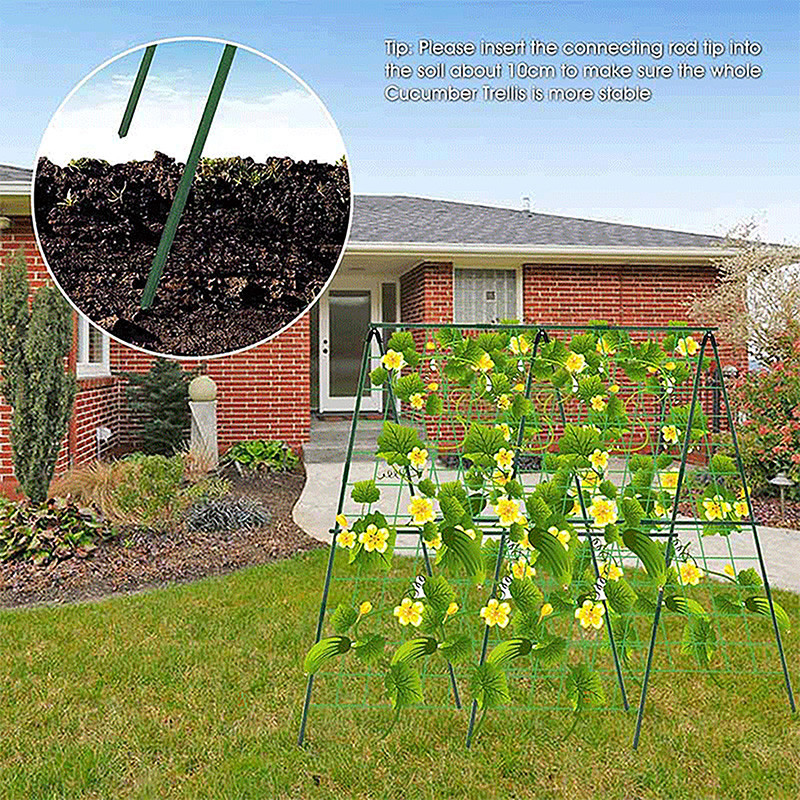 Jual Garden Vegetable Supports Foldable Metal Cucumber Trellis Plant ...