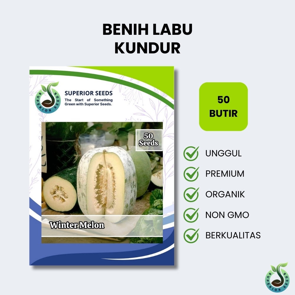 Jual Biji Benih Labu Kundur (Superior Seeds) | Shopee Indonesia