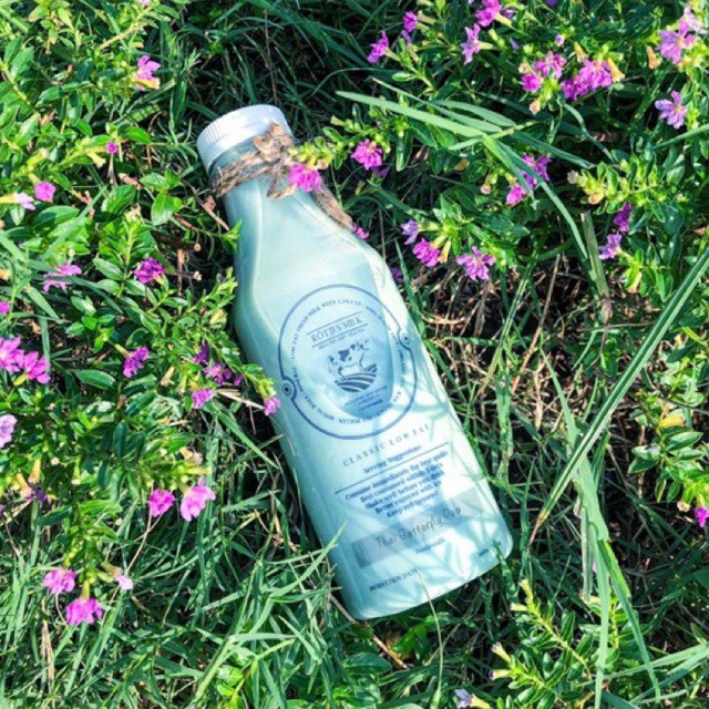 Jual Rotjes Milk Butterfly Pea Low Fat Diet Milk Tea | Shopee Indonesia