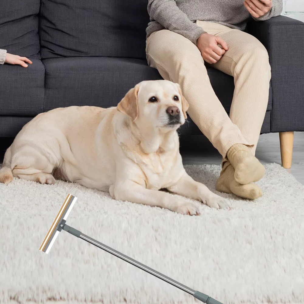 Jual Creative Portable Lint Remover Manual Retractable Pet Hair Remover ...