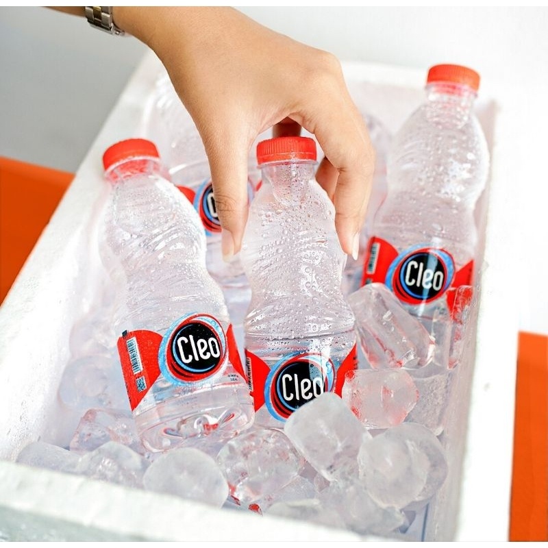 Jual Cleo Botol Kecil Cleo Mini 220ml 1 Krat Isi 24 Botol | Shopee ...