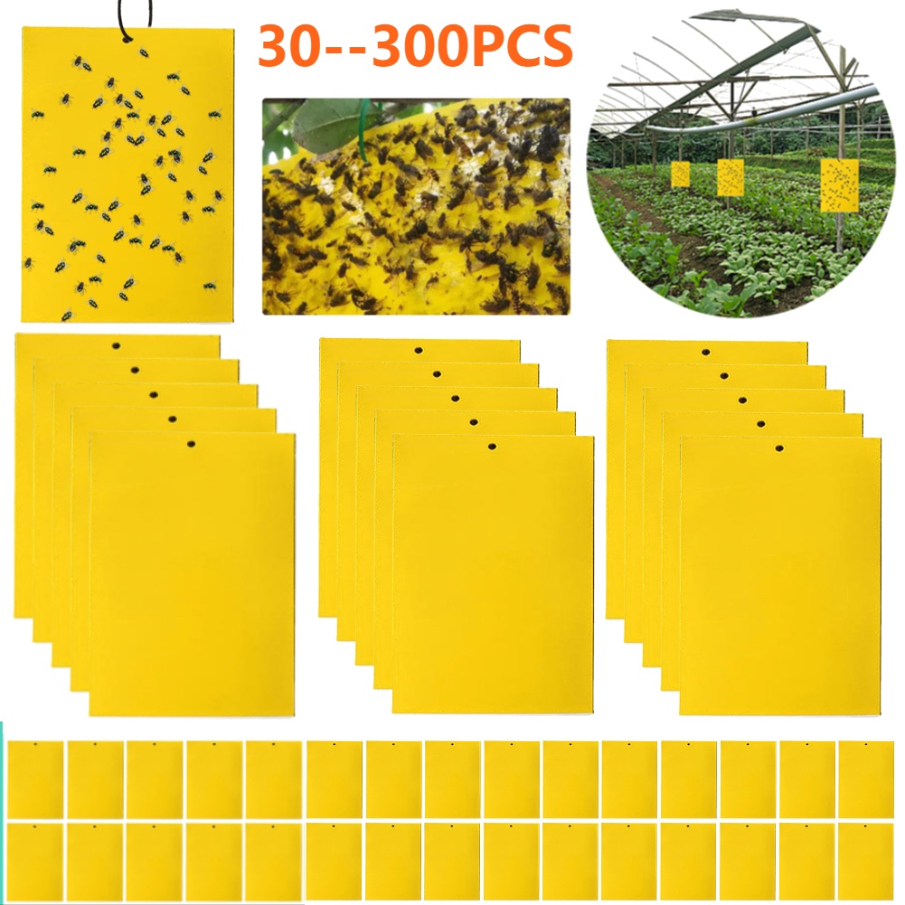 Jual Yellow Fly Traps Bugs Sticky Board Dual-Sided Catching Aphid ...