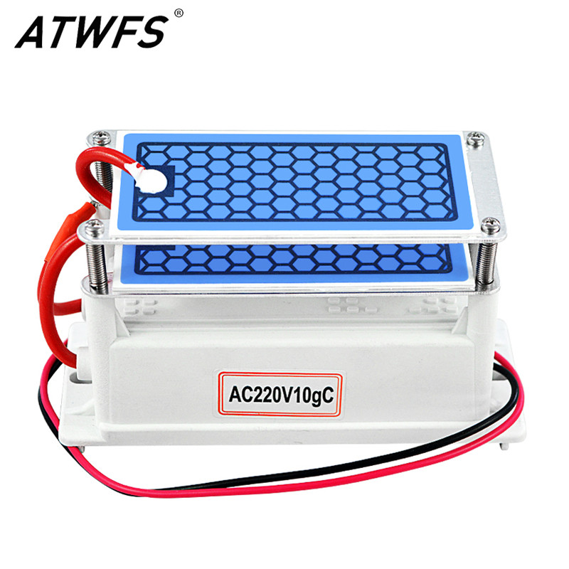 Jual Terlaris! ATWFS Ozone Generator 220v 10g home Air Purifier ...