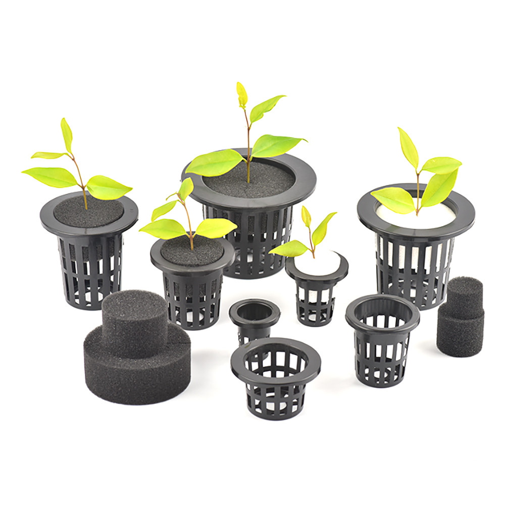 Jual Keranjang Hidroponik Hitam Spons Taman Sayuran Tanpa Tanah Spons ...