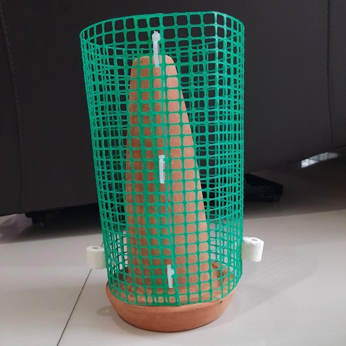 Jual PREMIUM cone discus cone untuk telur ikan discus cone breeding ...