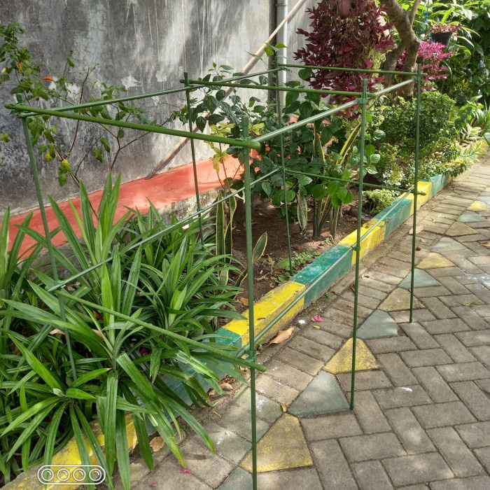 Jual New Rambatan Tanaman Anggur Set 120Cm Original | Shopee Indonesia