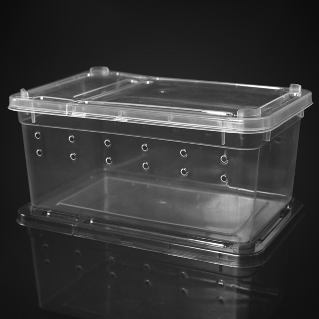Jual Reptile Breeding Box Lizard Tarantula Habitat Cage Hatching ...