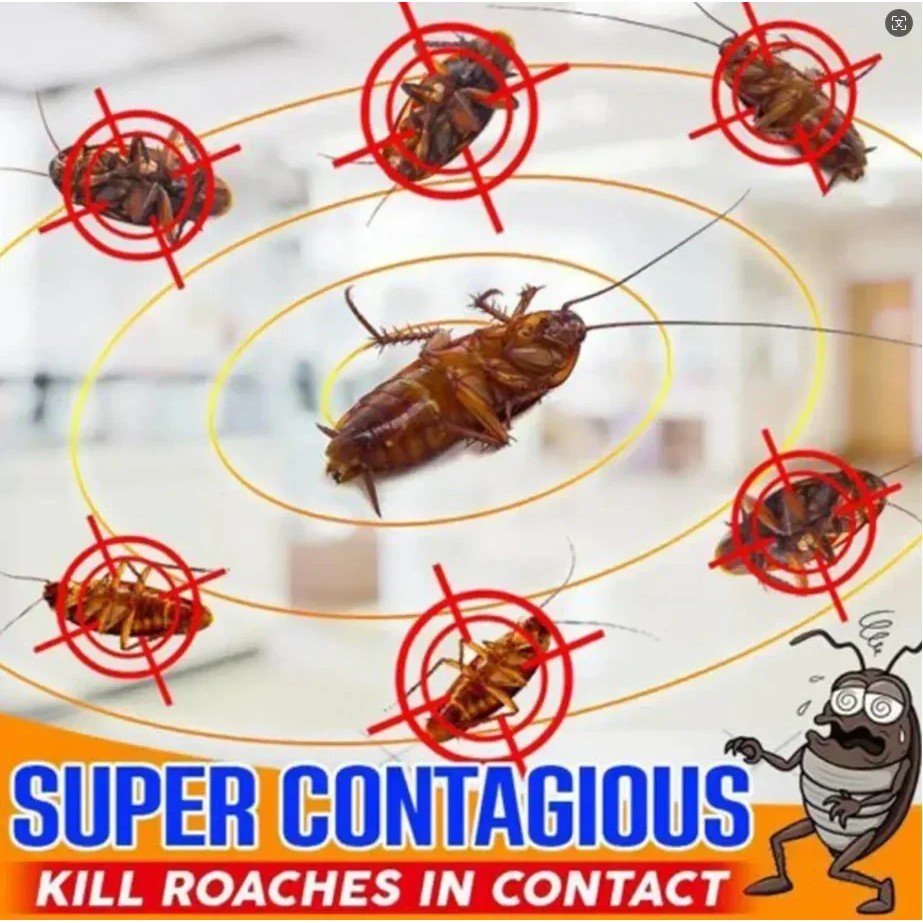 Jual Killing Cockroach Insecticide Bait Powder Kill Roach Insect Roach ...
