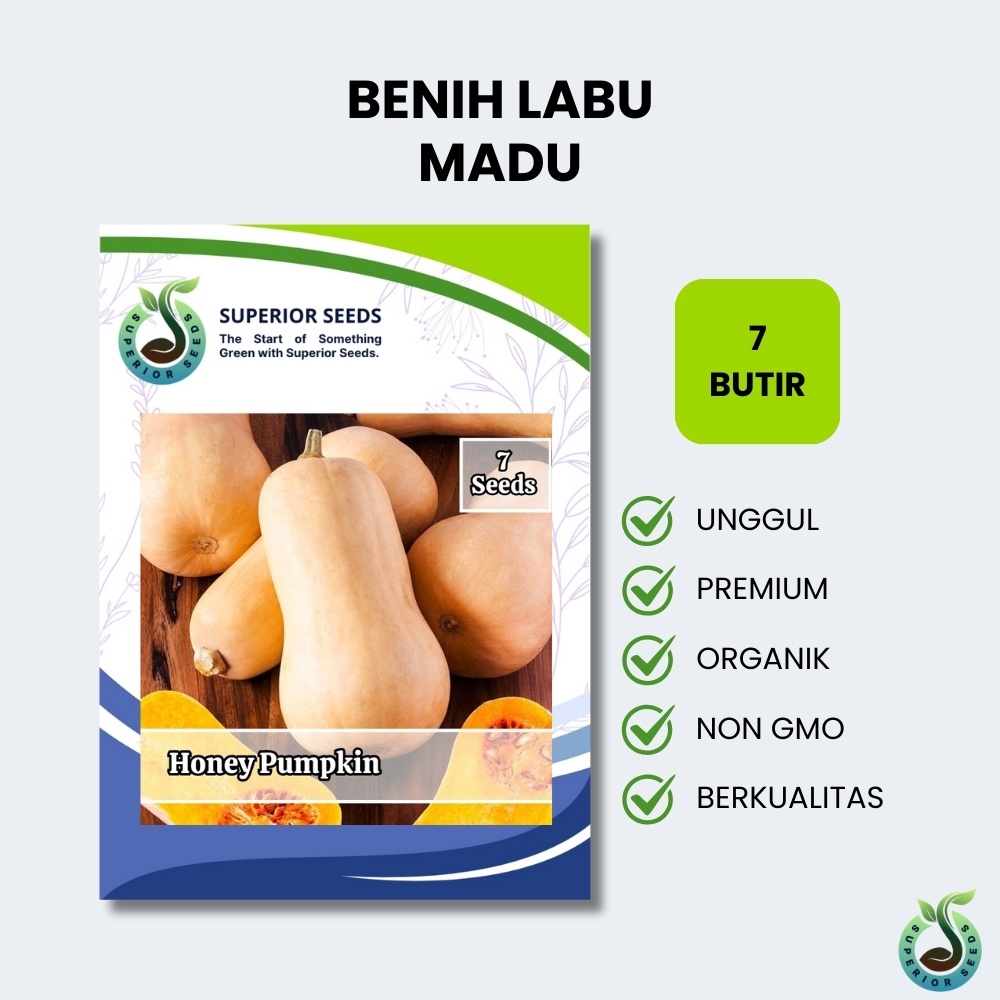 Jual Biji Benih Labu Madu (Superior Seeds) | Shopee Indonesia