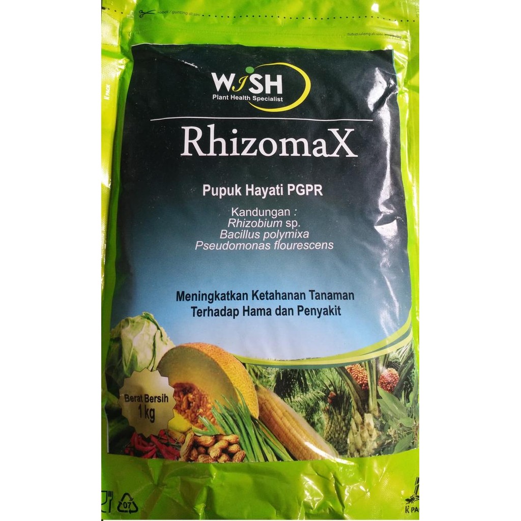 Jual New Pupuk PGPR (Rhizomax) | Shopee Indonesia