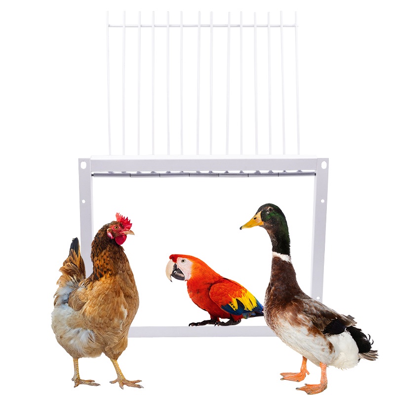 Jual 30/40*26Cm Pigeon Door Metal Wire Bars Frame Single Entrance ...