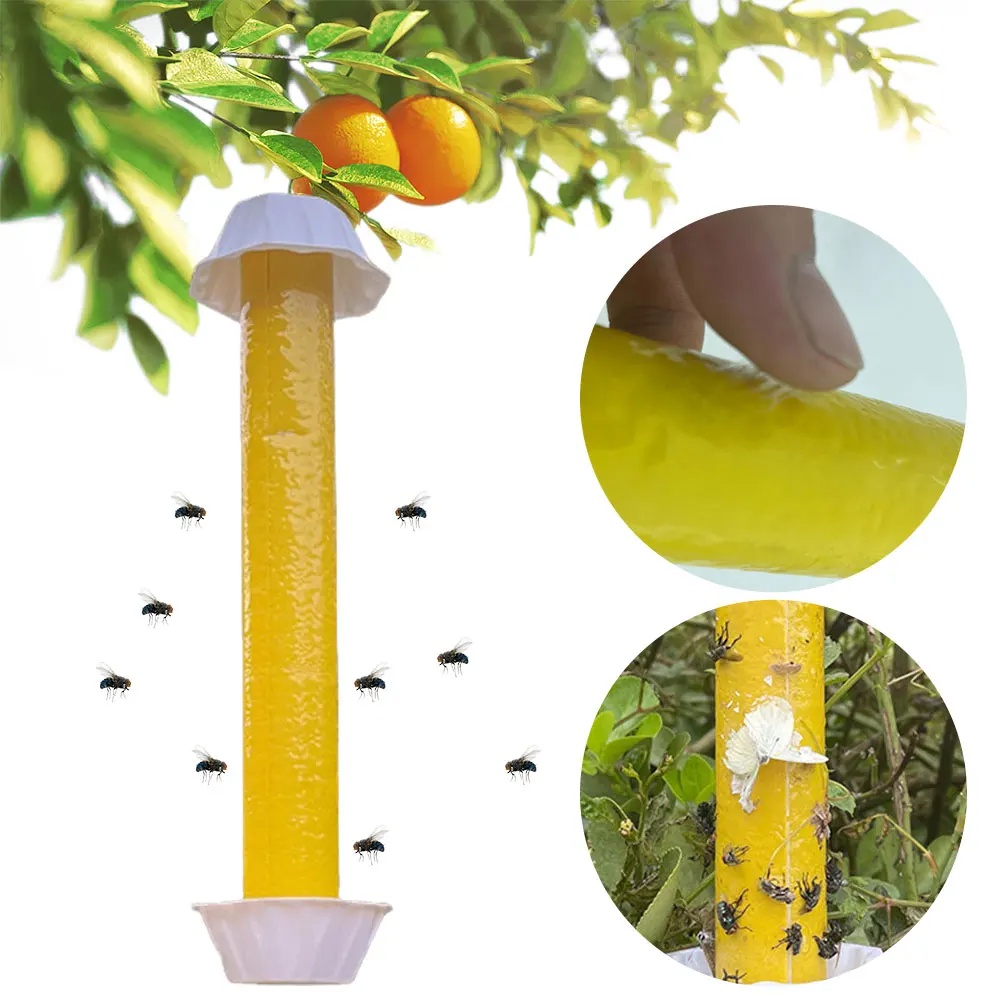 Jual Sticky Trap for Flies Gnats Wasp Insects with Hanging Hook ...