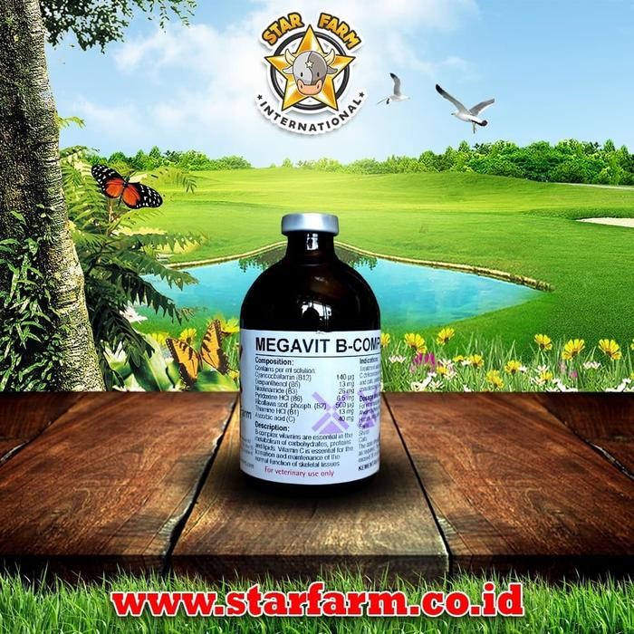 Jual Produk Unggulan] STAR FARM - Megavit B-Complex Inj 100 Ml | Shopee ...