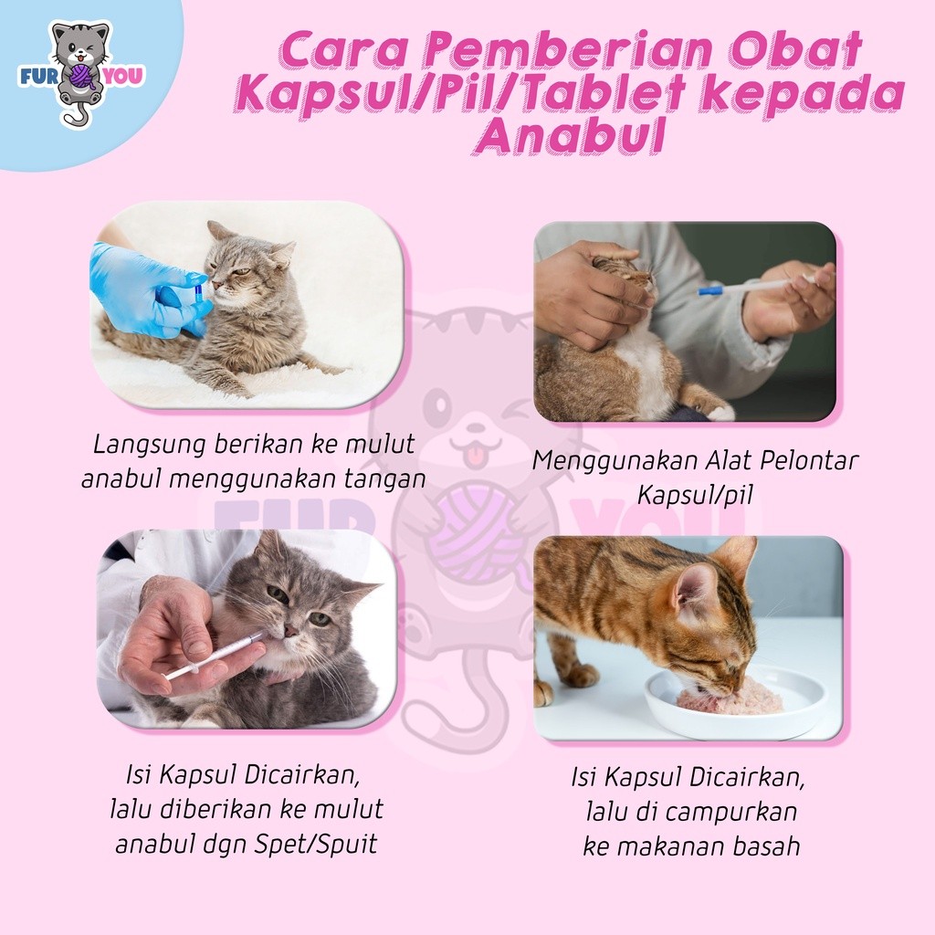 Jual Kapsul Batuk Pilek Anabul batuk dan Flu | Shopee Indonesia