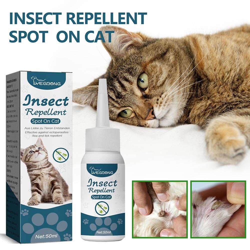 Jual 50Ml Pet Flea Killer Drops Cats Ticks Lice Mite Removal Ringworm ... - Cat Flea Mite Bite Relief