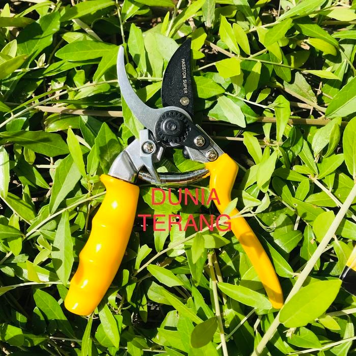 Jual PREMIUM Gunting Dahan HASSTON PROHEX 1350 - Gt Ranting HASTON ...