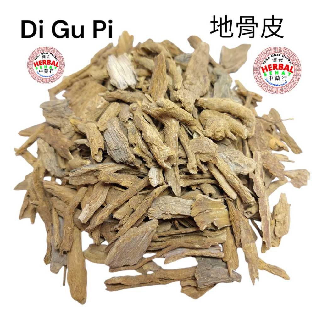 Jual Di Gu Pi Cortex Radicis Lycii / Lycium Bark - Thi Kut Phi - 100 ...