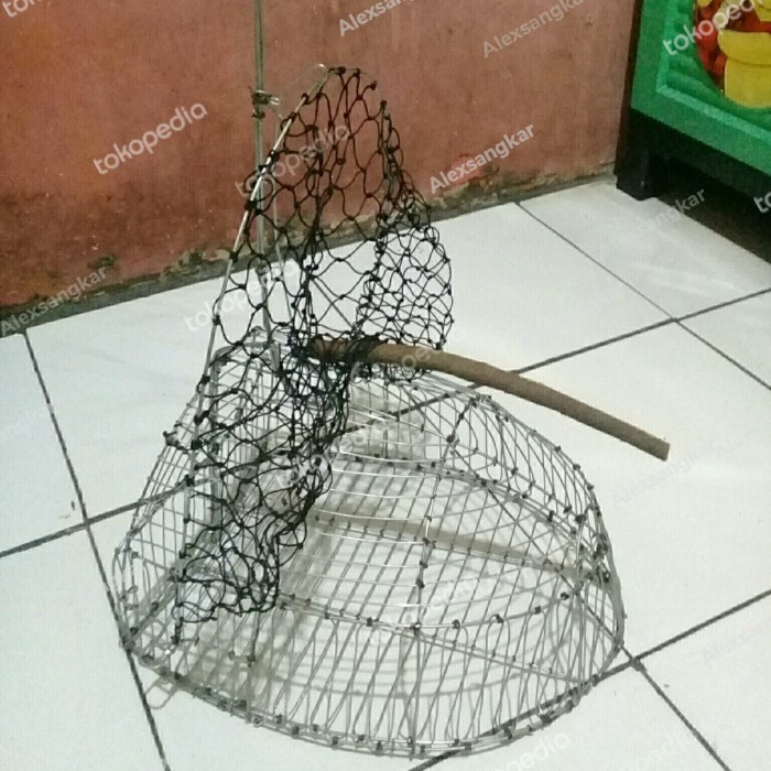 Jual PREMIUM Sangkar burung jebak pikat trap jaring. | Shopee Indonesia