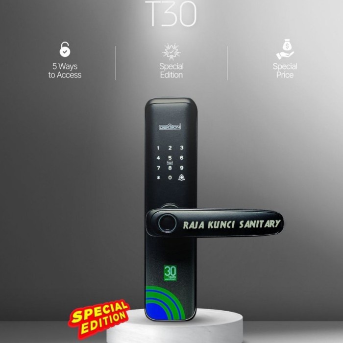 Jual Smart Lock/Kunci Digital/Electronic Lock/Dekkson/Dekson/EL T30 ...