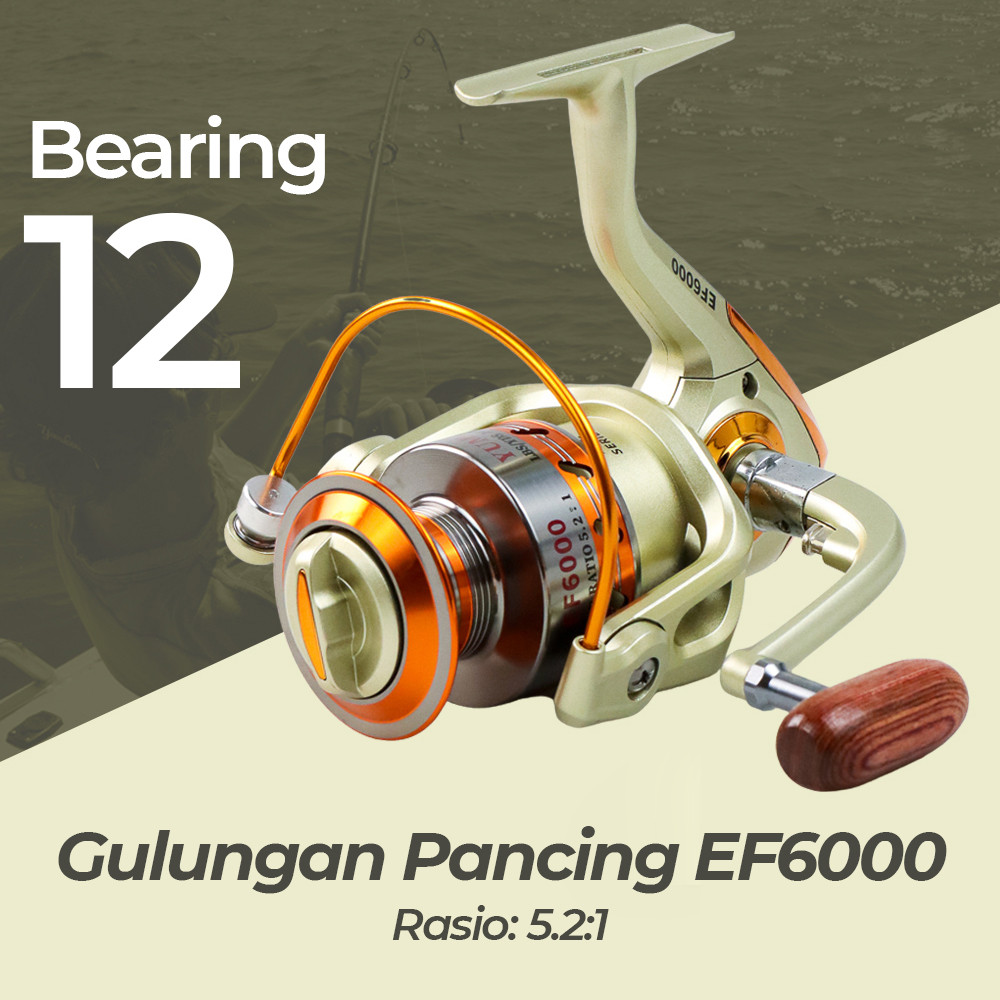 Jual Reel Pancing Spinning 12 Ball Bearing 5.2:1 Kapasitas Besar ...