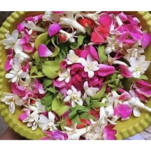 Jual bunga setaman/kembang nyekar | Shopee Indonesia