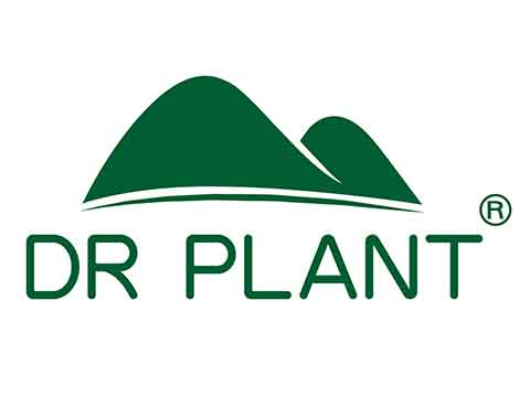 Dr Plant