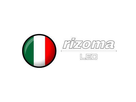 Rizoma