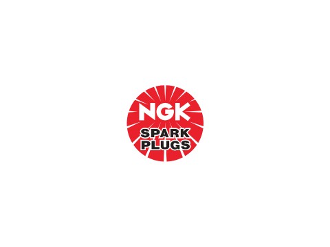NGK Spark Plugs