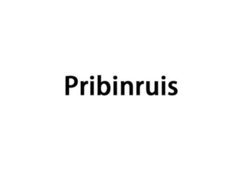 Pribinruis