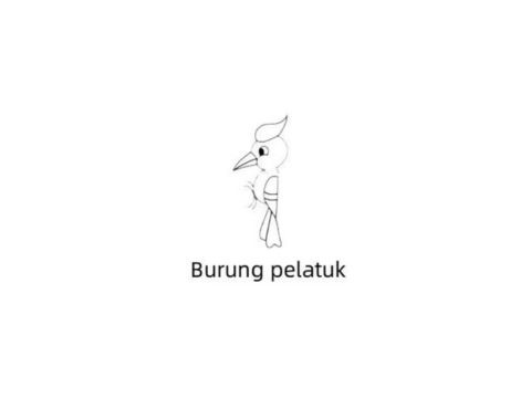Burung Pelatuk