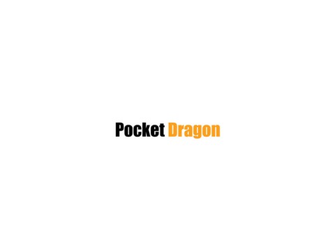 Pocket Dragon