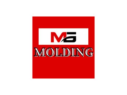 Molding