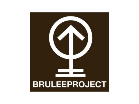 Brulee Project