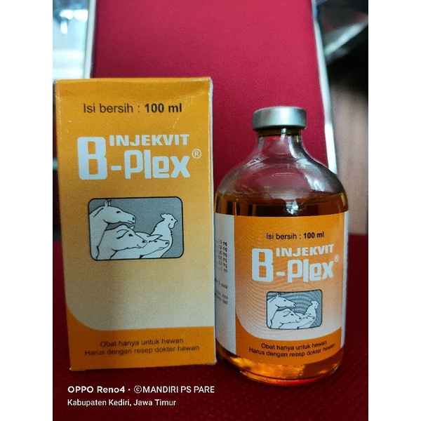 Jual INJEKVIT B-PLEX 100ML MEDION (Vitamin B Complex) | Shopee Indonesia