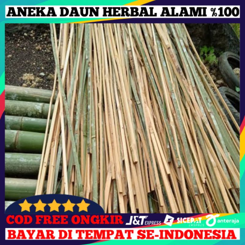 Jual Ajir Bambu Untuk Penyanga Tanaman Khusus Ukuran Pendek Shopee