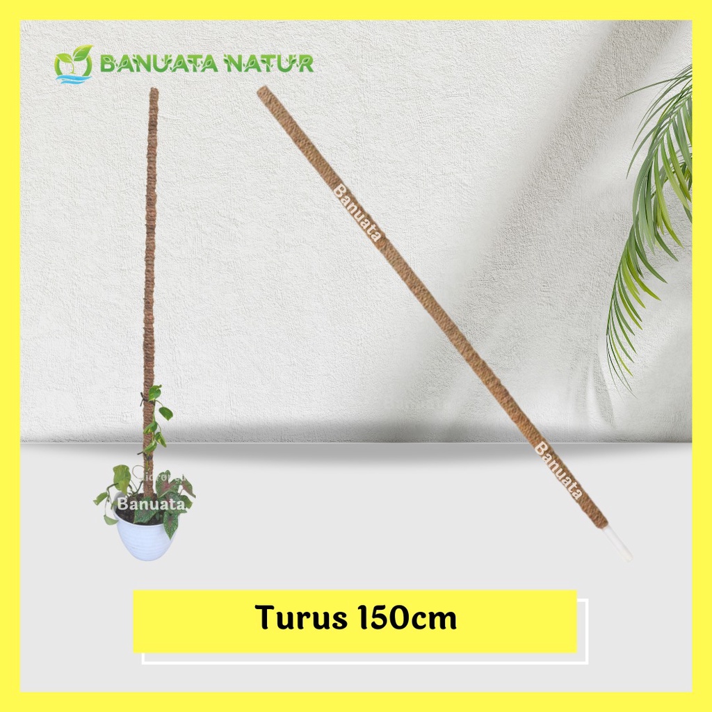 Jual Turus Penyangga Tanaman Rambat Sabut Kelapa 150 Cm Berkualitas