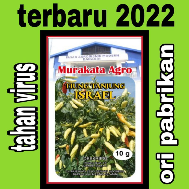 Jual tiung tanjung israel beli 3 gratis 1 pcs | Shopee Indonesia