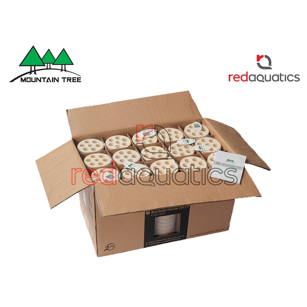 Jual Mountain Tree Lotus Root Bacteria House II Size L (XL) 1 Box (15 ...