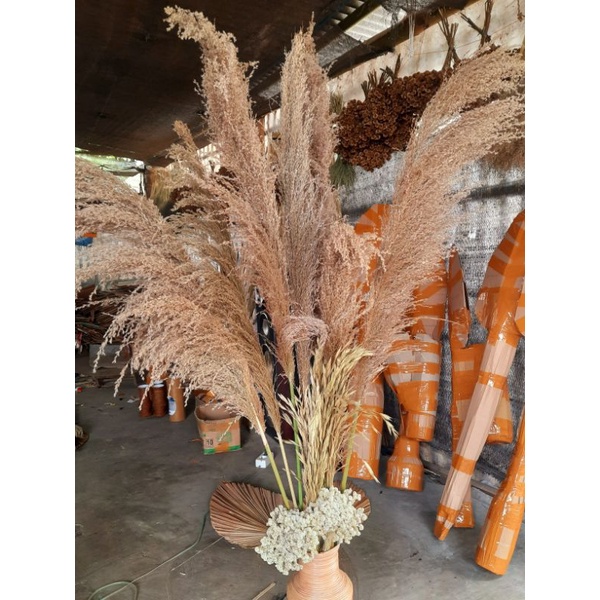 Jual PAKET LENGKAP BUNGA RASTIC/BUNGA AESTHETIC/BUNGA HIAS SUDUT ...